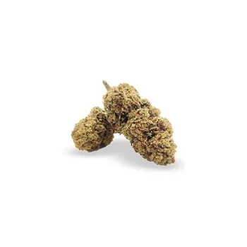 Pineapple Indoor