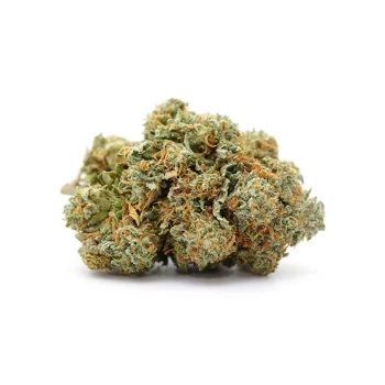 MONEY MAKER CBD