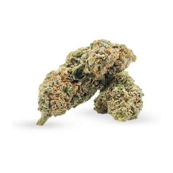 AMNESIA HHC 30%