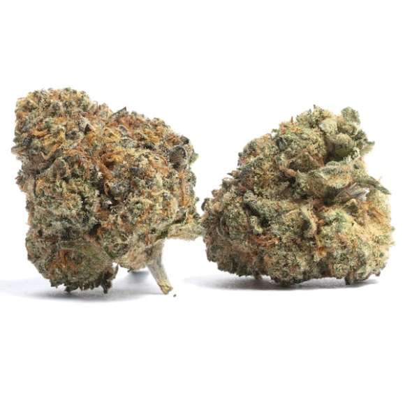 cheese cbd cheese cbd