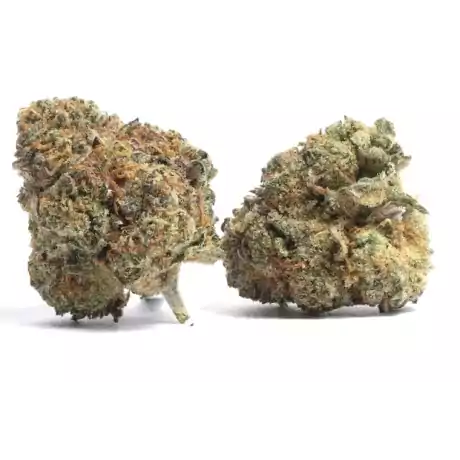 cheese cbd