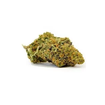 EN GROS strawberry Indoor