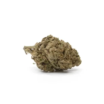 Fleurs de cbd HARLEQUIN
