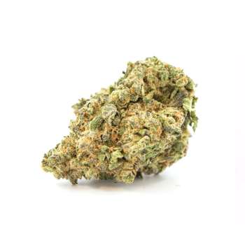 LEMON HAZE++