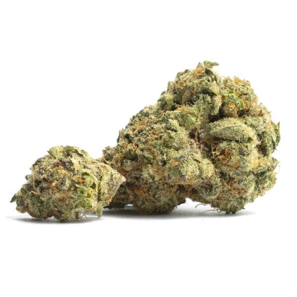 orange bud fleurs CBD