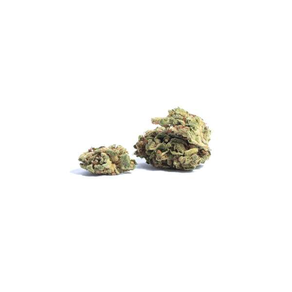 white widows small bud cbd