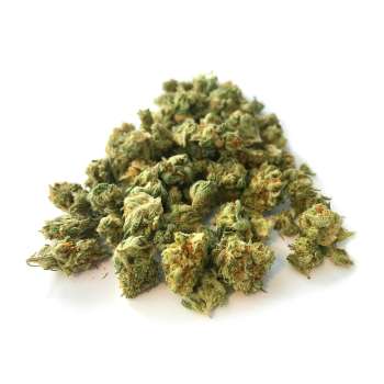 lemon small bud cbd