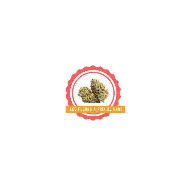 EN GROS Fleurs de cbd |échantillons EN GROS Fleurs de cbd |échantillons