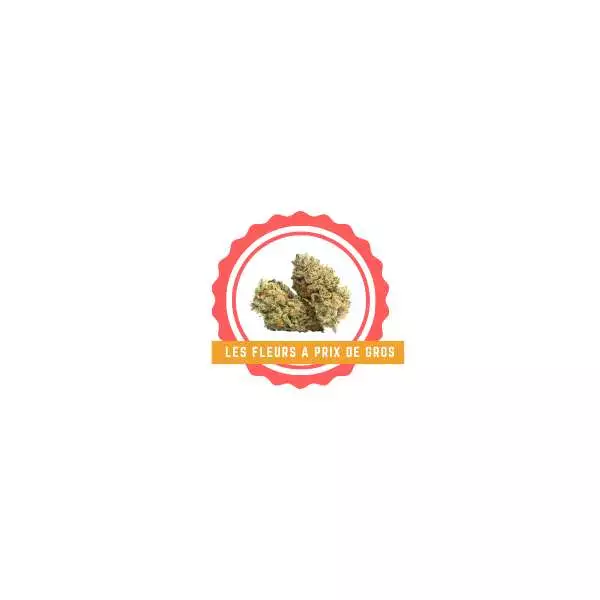 EN GROS Fleurs de cbd |échantillons EN GROS Fleurs de cbd |échantillons