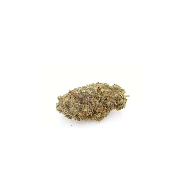 Fleurs de CBD watermelon