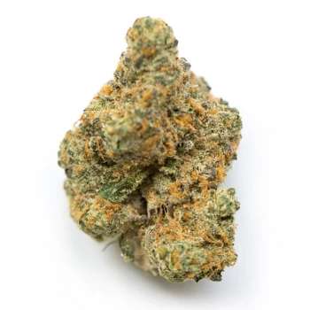 Fleurs de CBD watermelon