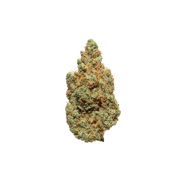 Blue berry fleurs CBD
