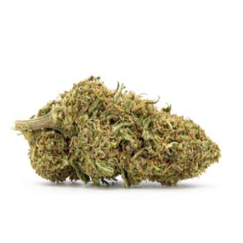 Blue berry fleurs CBD