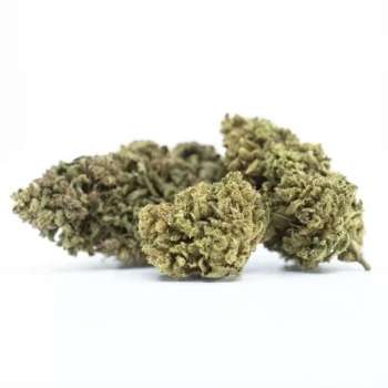 Fleurs de cbd Hawaiian Haze premium|