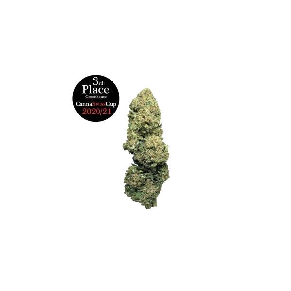 Fleurs de CBD cannaswiscup