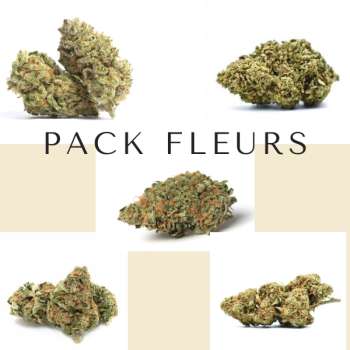 Pack Fleurs CBD