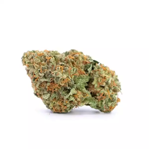 Fleurs de CBD Jack Herer