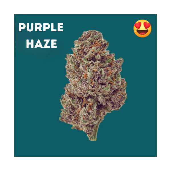 Purple haze cbd
