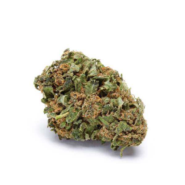 EN GROS Fleurs de cbd BZ1 indoor EN GROS Fleurs de cbd BZ1 indoor