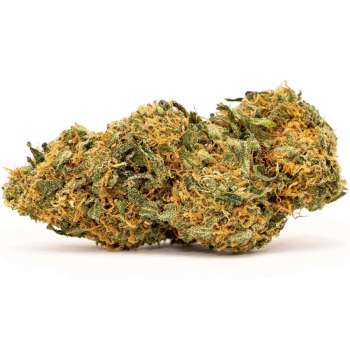 fleurs de cbd mango haze