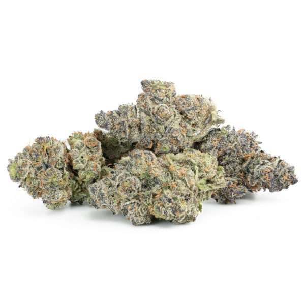 Dark Devil - Hybride Premium