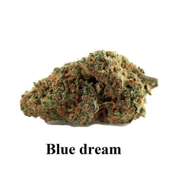 Fleurs de cbd BLUE DREAM Fleurs de cbd BLUE DREAM