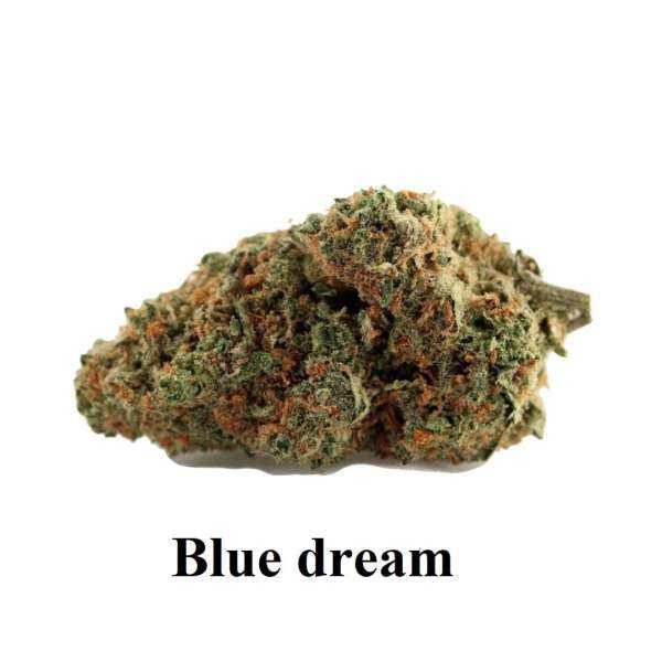 Fleurs de cbd BLUE DREAM