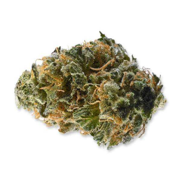 Fleurs de CBD Gispsy Haze de qualité Premium