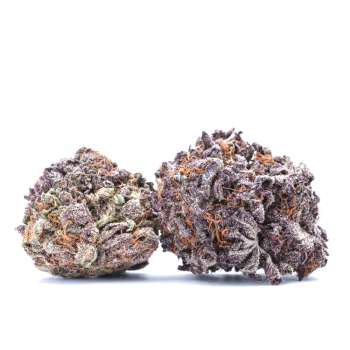 Fleurs CBD Purple Haze