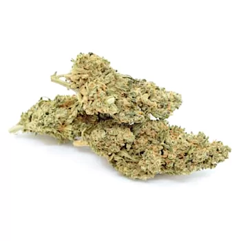 Fleurs de CBD Jack Herer achat en petite ou grande quantité | Green Vertus CBD Shop