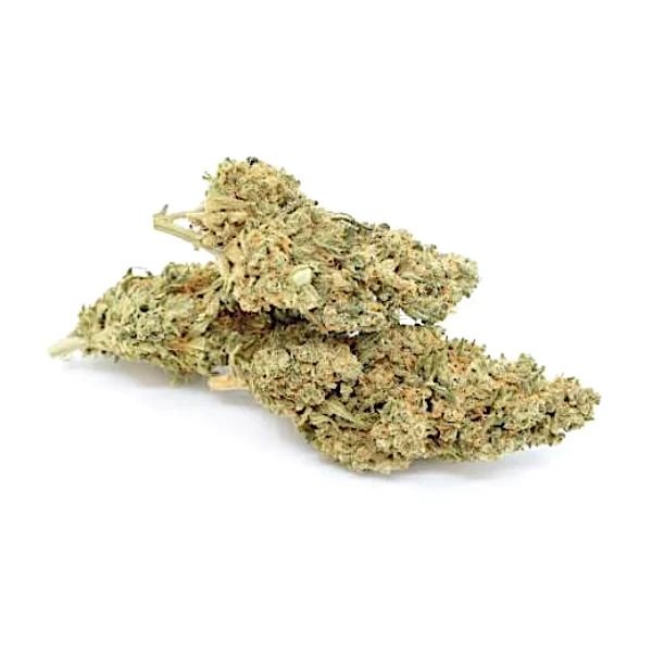 Fleurs de CBD Jack Herer achat en petite ou grande quantité | Green Vertus CBD Shop Fleurs de CBD Jack Herer achat en petite ou grande quantité | Green Vertus CBD Shop