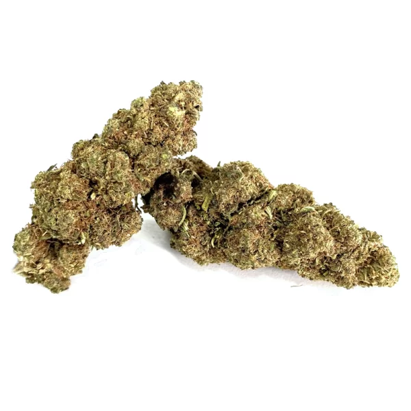 White Widow CBD Indoor Premium Bio Grossiste Wholesale White Widow CBD Indoor Premium Bio Grossiste Wholesale