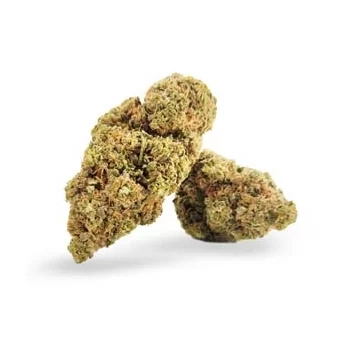 CHEESE KUSH