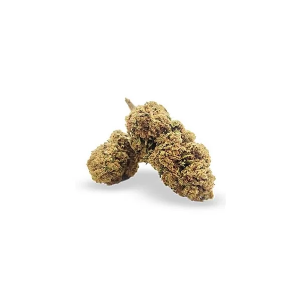 EN GROS Fleurs de cbd pine apple EN GROS Fleurs de cbd pine apple