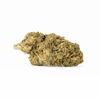 GELATO