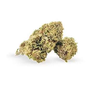 MANGO HAZE