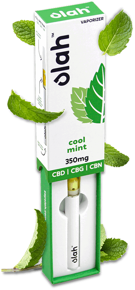 Vaporisateur e-liquide CBD Olah Cool Mint Vaporisateur e-liquide CBD Olah Cool Mint