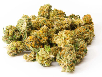 Small Bud Indoor - Fleurs de CBD Premium à Prix Mini (-10% Offerts !)